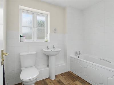 Picture 23
